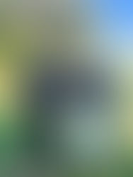 Reunión en el FPG Golf Club