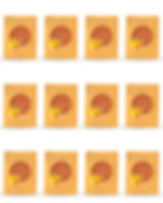 SATIRA Champaca Moisturizing Glycerin Soap 100 g Pack of 12