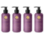 HARNN Kaffir Lime and Mint Body Lotion 250 ml Pack of 4