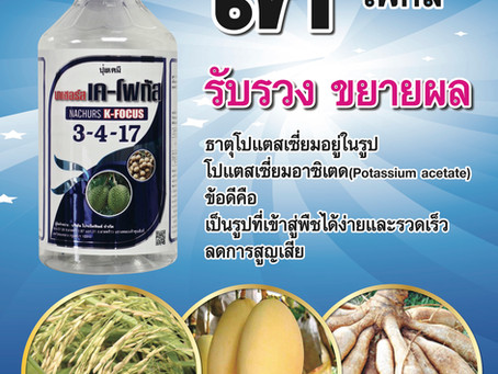 นาเชอร์ส เค-โฟกัส
