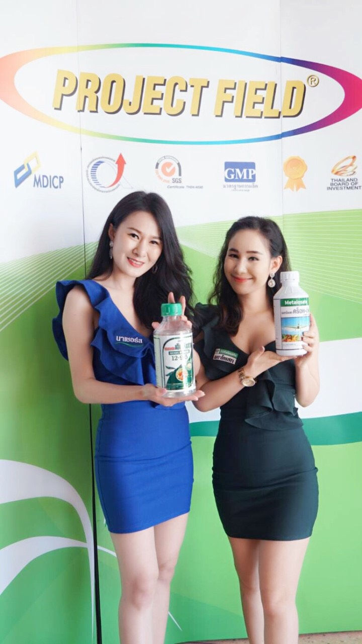ประชุมสังสรรค์เชิงวิชาการ