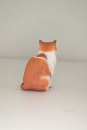 DSC07462.JPG
