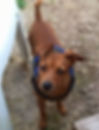 20201129_125933.jpg