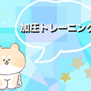 🟣加圧トレーニングとEMSトレーニングの違い🟣