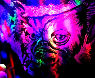 GIZMO.jpg