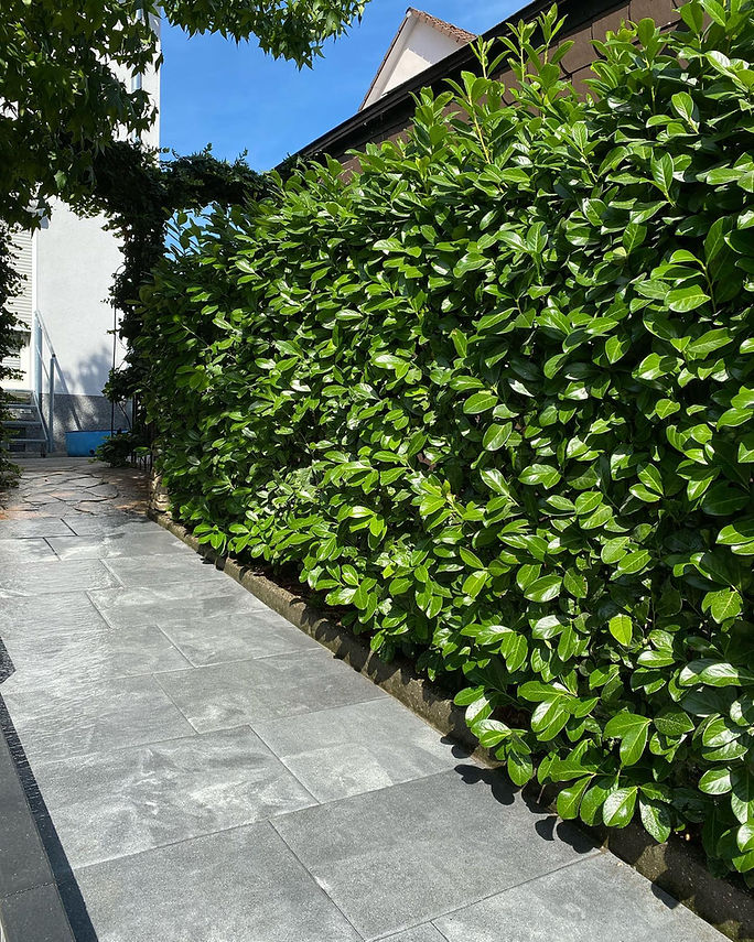Gartenbau in Wiesloch & Heidelberg | Imeri Bau & Gartengestaltung