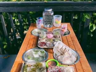 Invitation to Explore Frozen Winter Nature