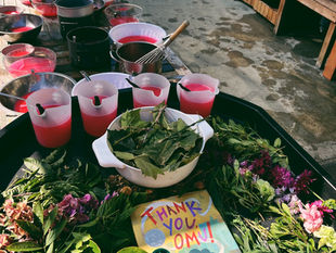 Invitation to Create Omu's Stew