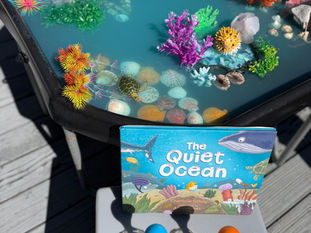 The Quiet Ocean Small World Play