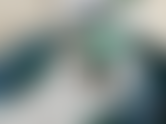 Small World Play: Little Penguins