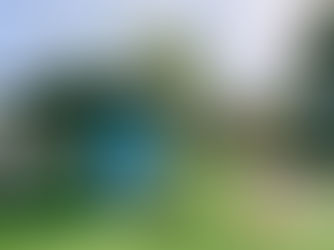 Art Walk Silent Auction