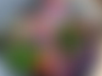 Trolls Village Small World Play