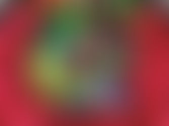 Selena STEM Small World Play