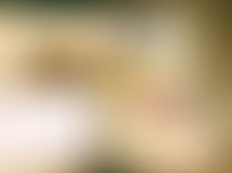 Resist Do Ho Suh Painting