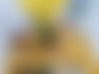 Signs of Spring Brings Out Our Haftsin