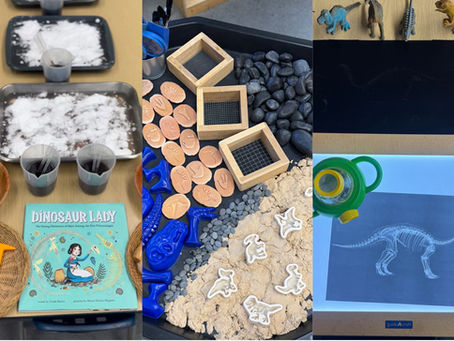 Three Invitations to Be A Paleontologist