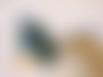 STEAM Salt Snowflakes