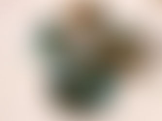 Native American Storytelling Math with Loose Parts