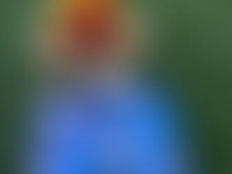 Chaharshanbe Soori: Lighting the Way to a Bright New Year! 