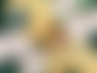 Native American Storytelling Math with Loose Parts