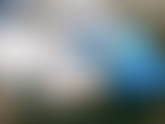 Invitation to Explore Glaciers in the Arctic