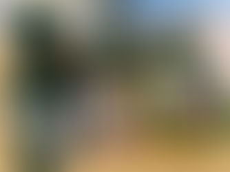 Invitation to Bake Leila, the Perfect Witch Cookies