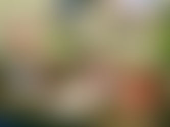 The Importance of Imaginative Play & Literacy