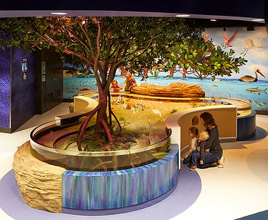 14773_00_AquariumOfNiagara_ExplorersReef_N2.jpg