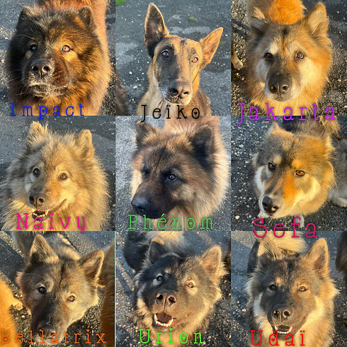 famille tete.jpg