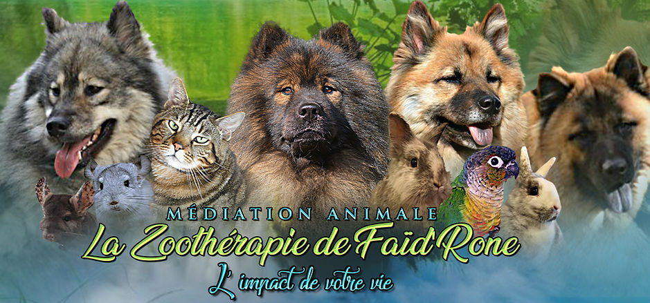 banni%25C3%2583%25C2%25A8re_mediation_edited_edited.jpg
