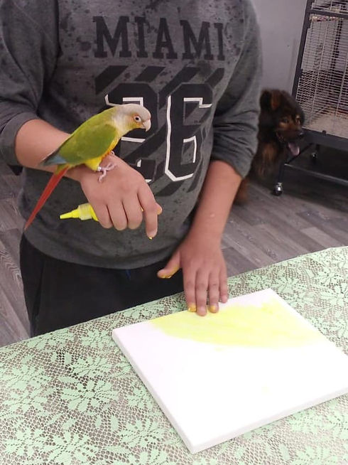 ananas_edited.jpg