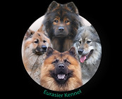 logo élevage 2.jpg