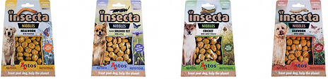 Insecta Vers de farine et citrouille .png
