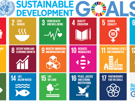 Why reaching the SDG and improving HDI(Human development index) matters ?