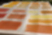 photo of a white nylon fabric onto which square color samples in shades of orange and red have been applied. a test of natural pigments for dyeing skin-on-frame canoes and kayaks