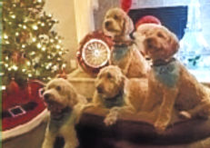 doodle christmas_edited.jpg