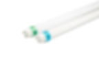 Brite T8 LED Tube Light (Superior)