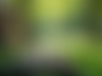 Enhance Relationships with Specialized Coaching Services