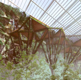 CANOPY WALKING PLATFORM_01.jpg