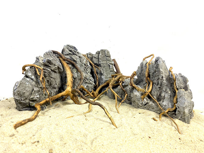roots