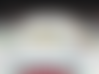 Side Project: The Best Buddy Hockey League