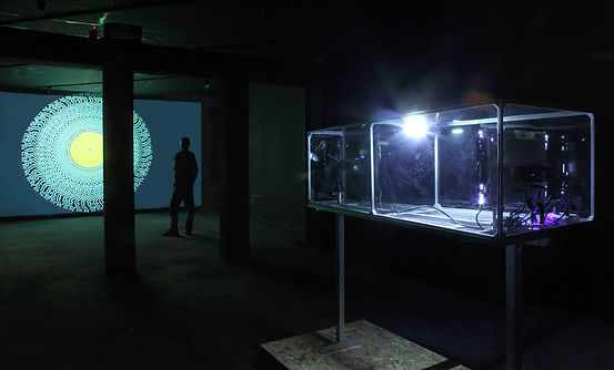1.MFichou-Installation1LR.jpg