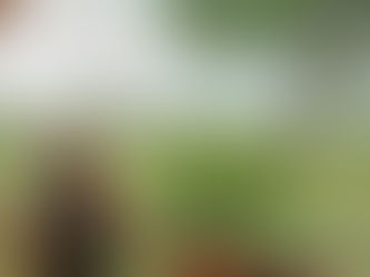 Explore a 10-day Africa volunteer adventure for adults 50+. Includes wildlife conservation, community projects, itinerary, costs, and senior travel tips.