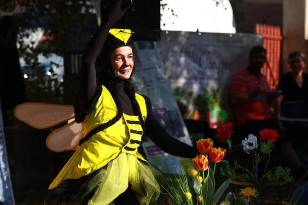 Au p'tit bonheur des abeilles
Spectacle jeune public
Spectacle pédagogique
Spectacle musical
spectacle en auvergne