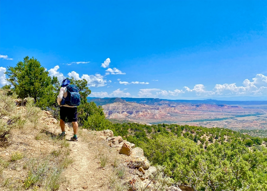 A hiker with a backpack walks along a trail under a bright blue sky, overlooking a vast canyon landscape with green trees and colorful cliffs.