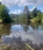 pond 1.jpg