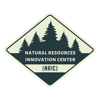 NRIC.png