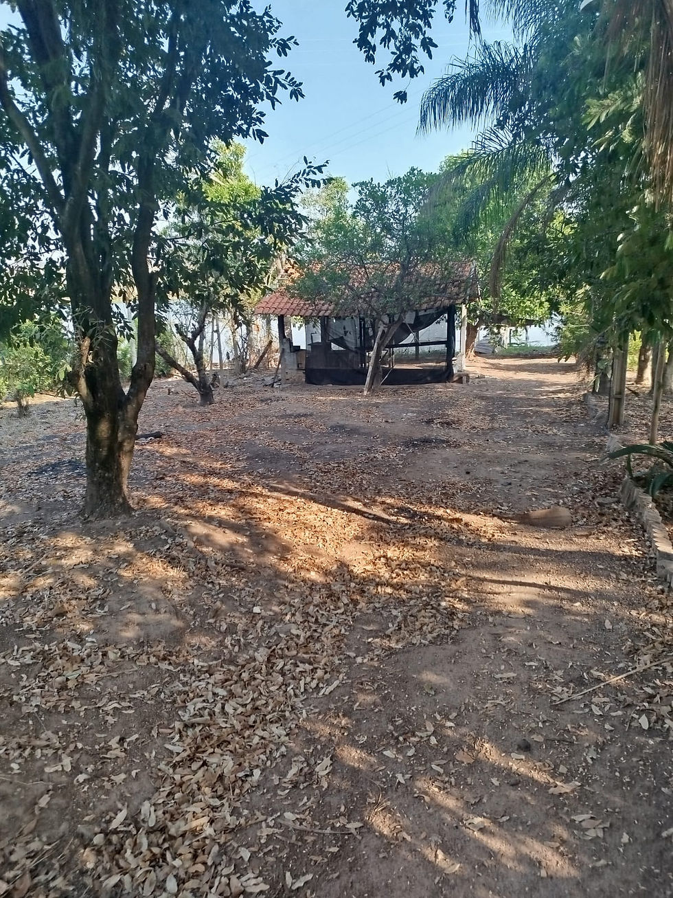 BURITAMA