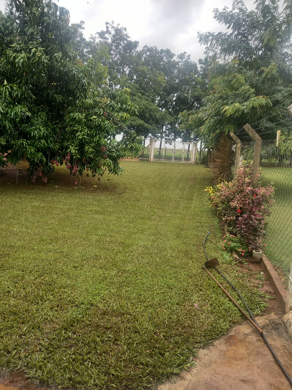 RANCHO BURITAMA