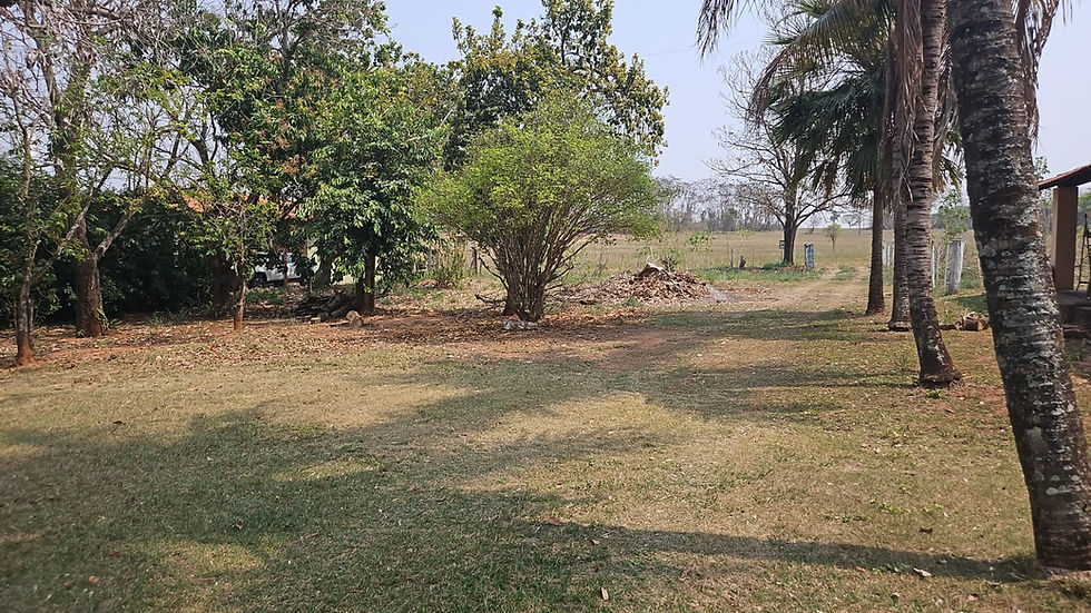 BURITAMA/SP